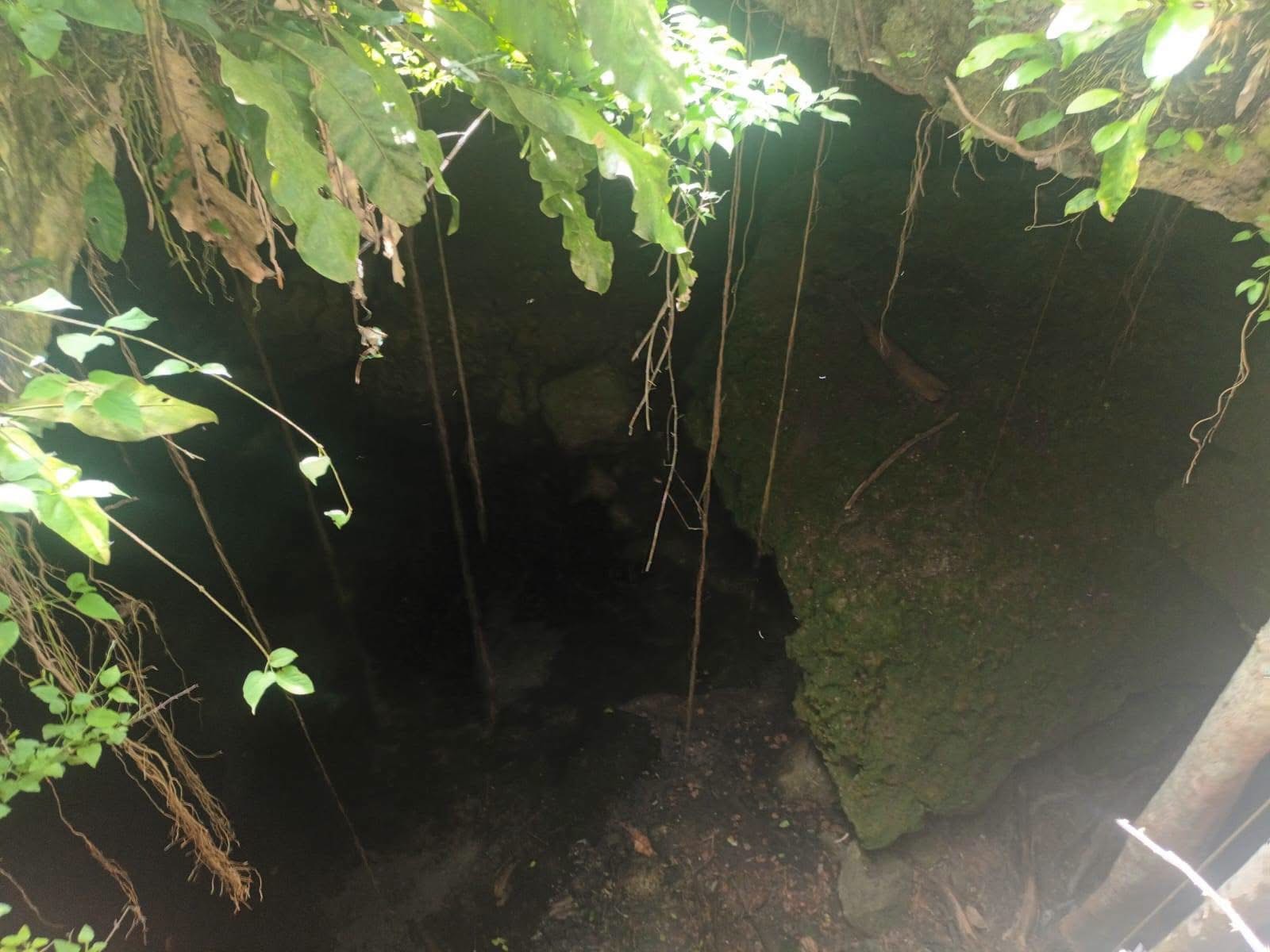 Cenote within the property — San Isidro, Yucatán