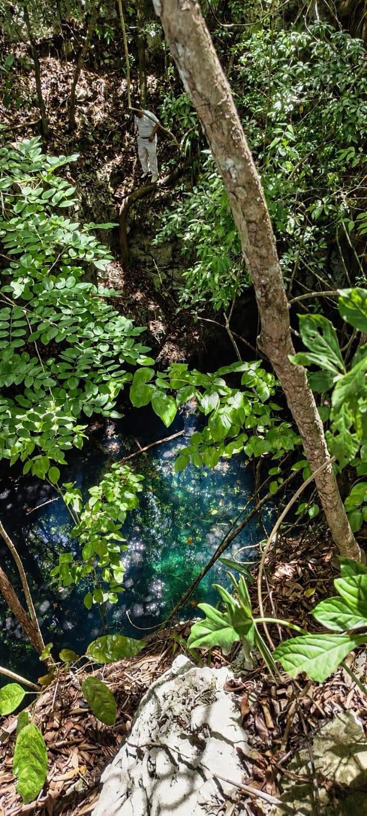 Natural spring — ecotourism potential Yucatán